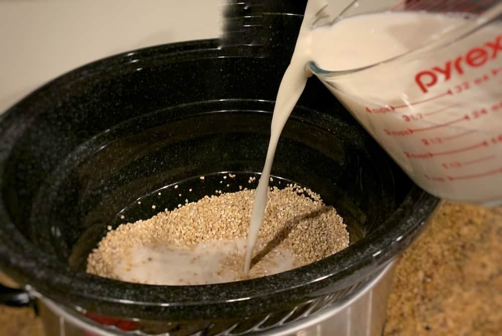 Pumpkin Pie Oatmeal