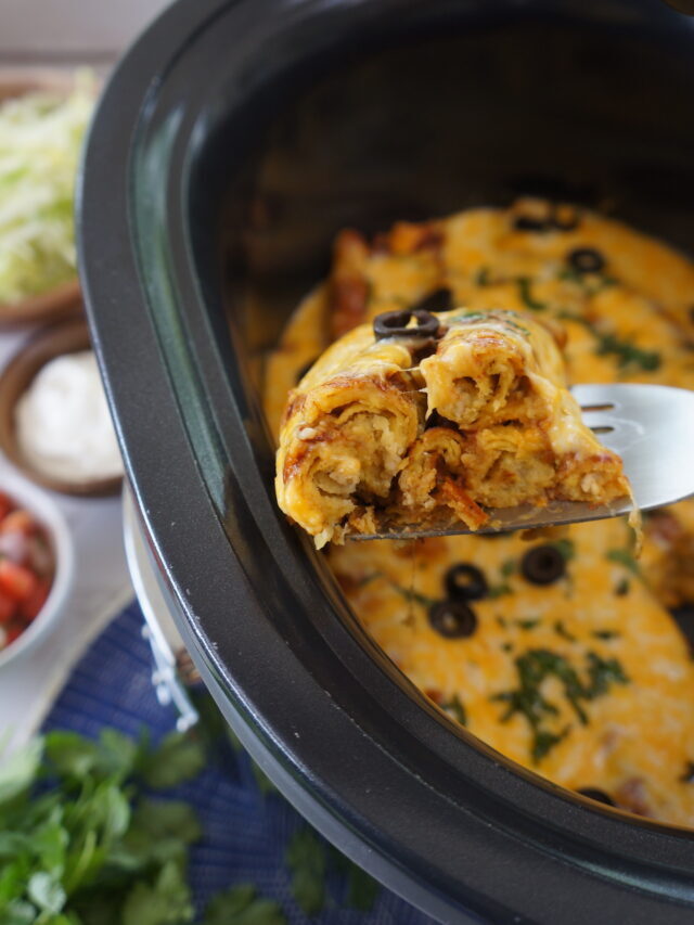 Tik Tok Lazy Enchiladas