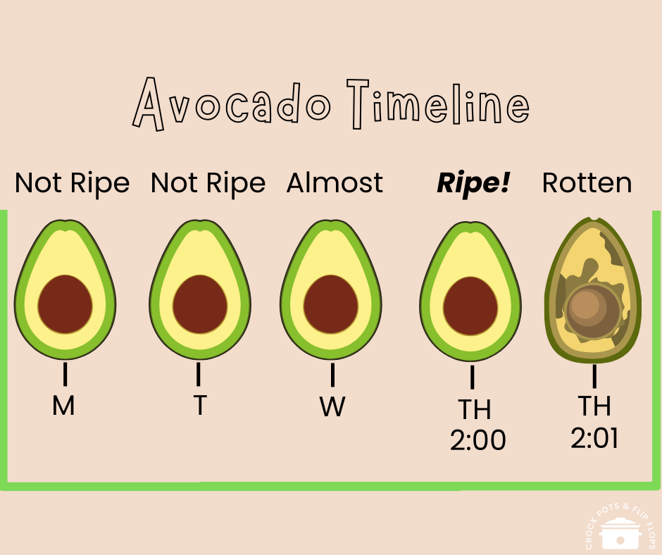 Avocado Timeline