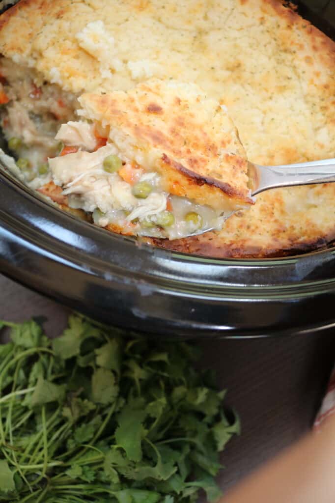 Chicken Cobbler Casserole